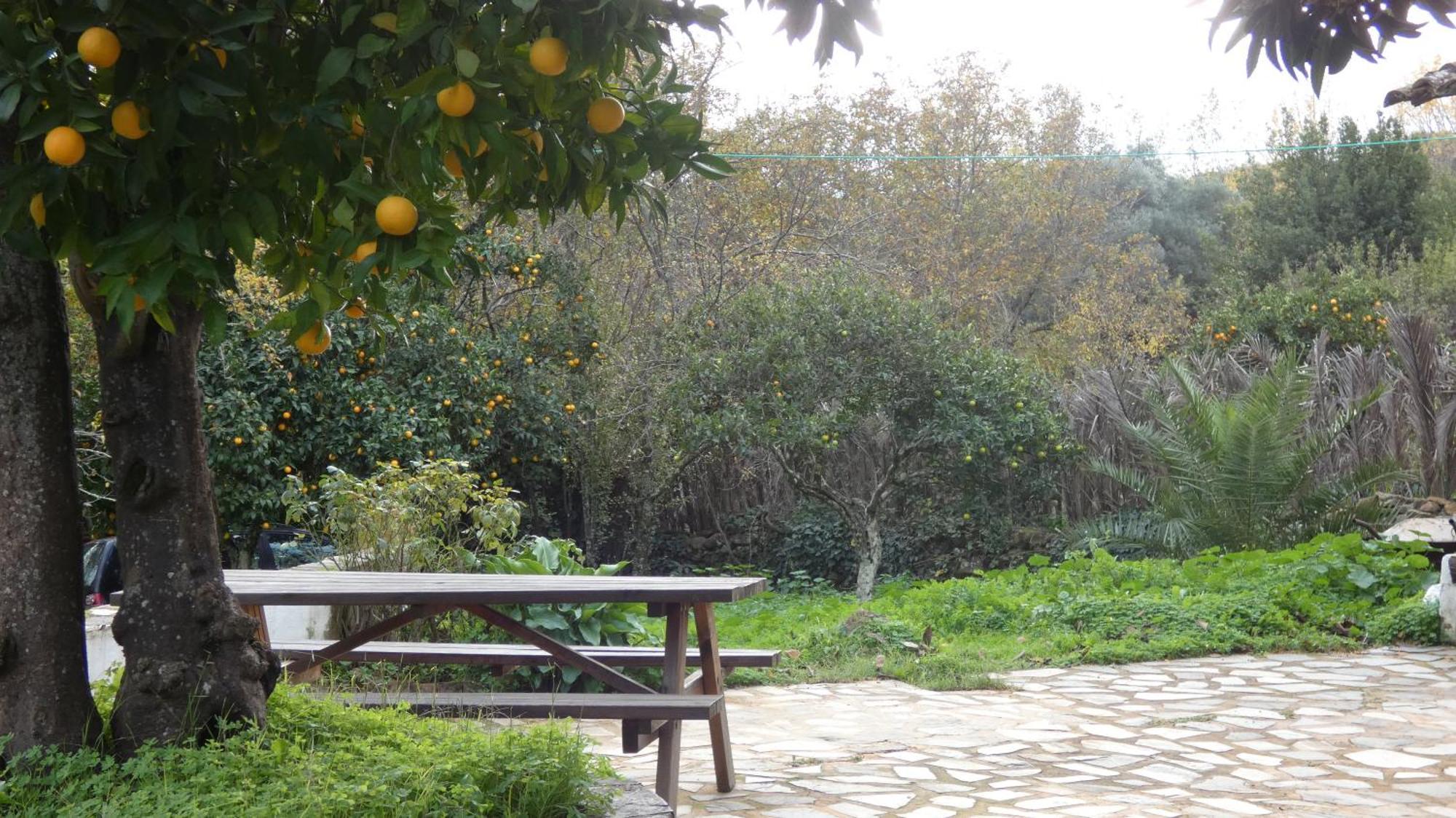 Casa Rural El Riandero リナレス・デ・ラ・シエラ エクステリア 写真