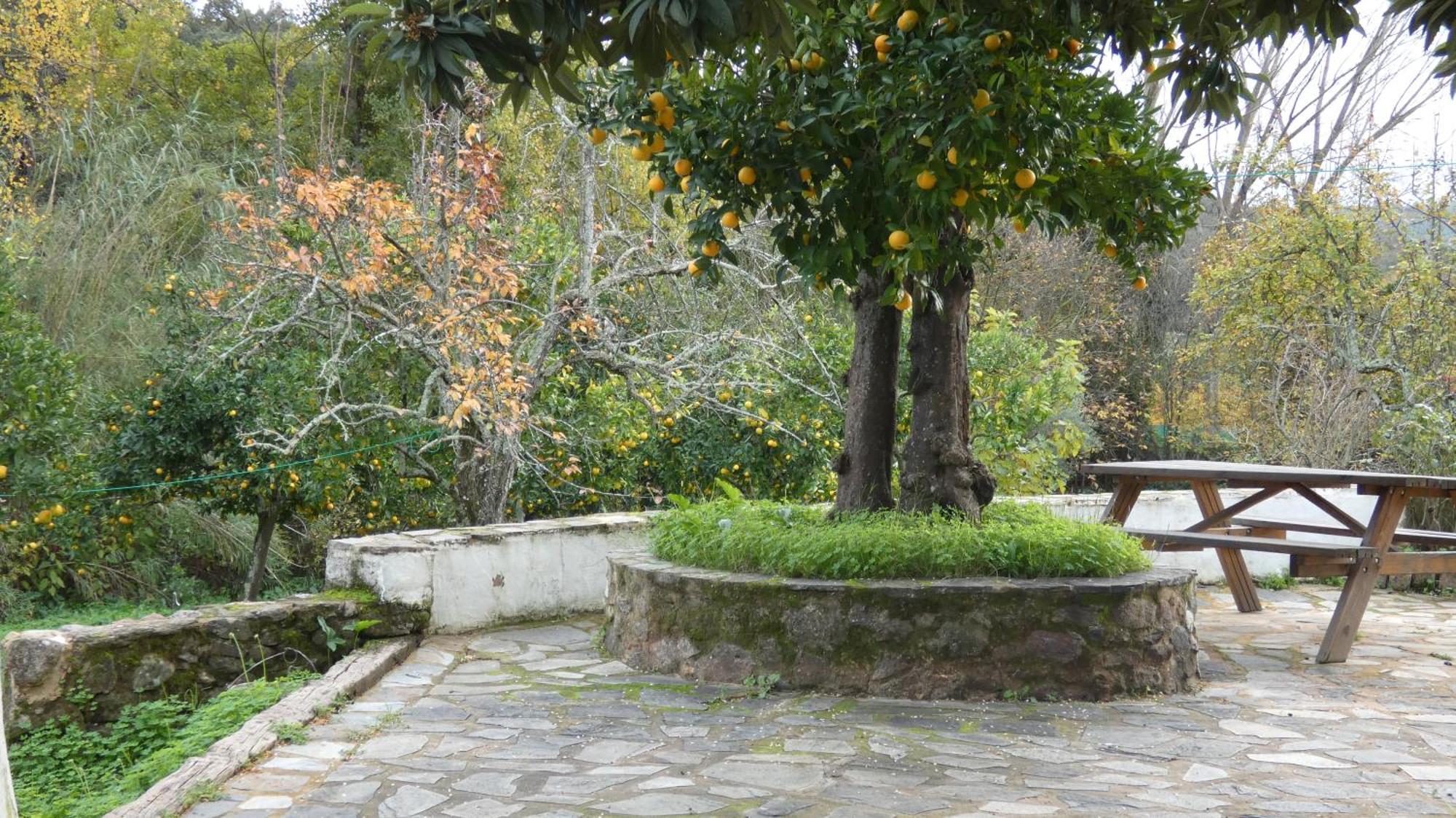Casa Rural El Riandero リナレス・デ・ラ・シエラ エクステリア 写真